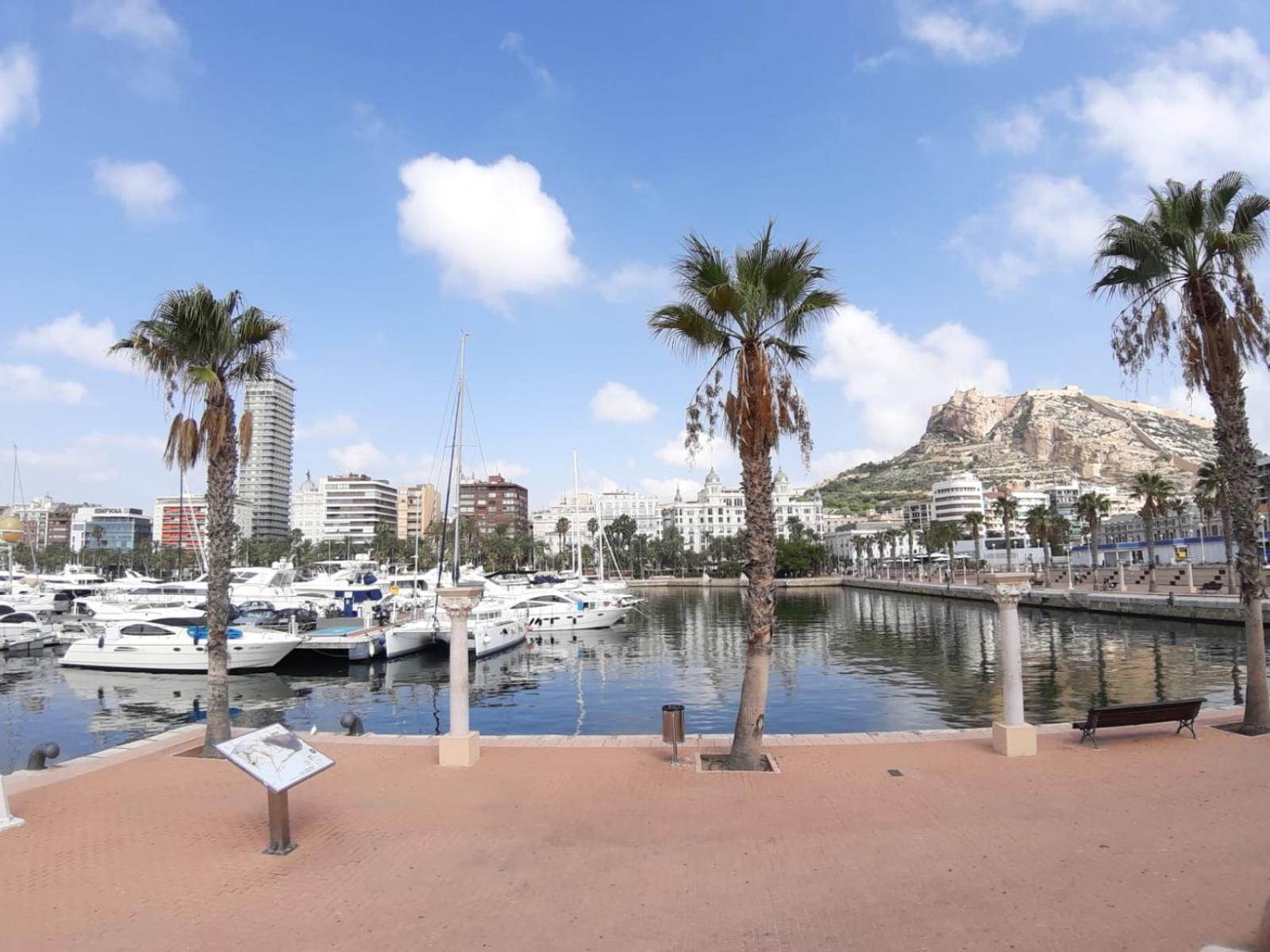 Apartamento Grande-Centro Barrio Playa Alicante Esterno foto